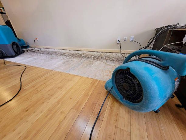 Professional Emergency Water Damage technician working in Manchester, MD